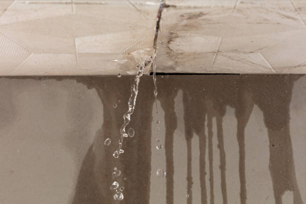 Professional Sewage Cleanup technician working in Bolt, WV